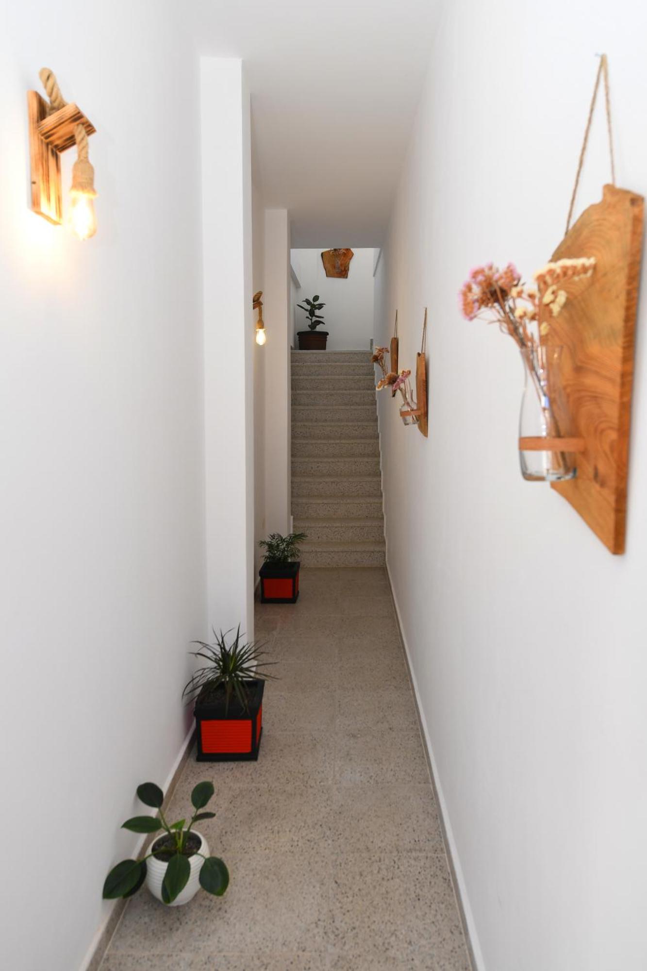 Appartement Nest *